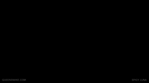 29126